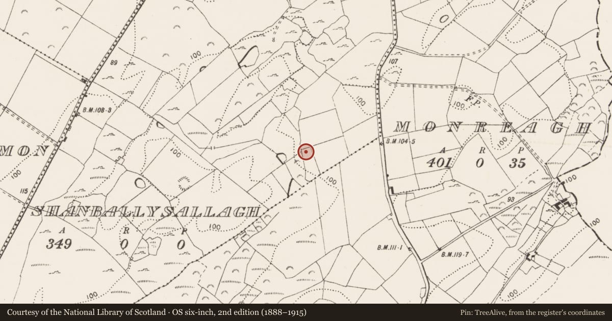 Ordnance Survey six-inch map, 2nd edition (1888–1915) covering the location of Enclosure, Shanballysallagh, County Clare, with a pin at the register's coordinates