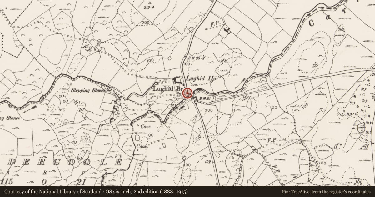 Ordnance Survey six-inch map, 2nd edition (1888–1915) covering the location of Bridge, Monreagh, County Clare, with a pin at the register's coordinates