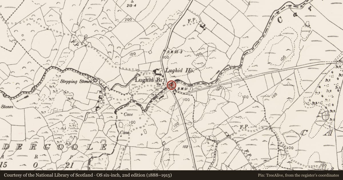 Ordnance Survey six-inch map, 2nd edition (1888–1915) covering the location of Water mill - unclassified, Derrygarriff, County Clare, with a pin at the register's coordinates
