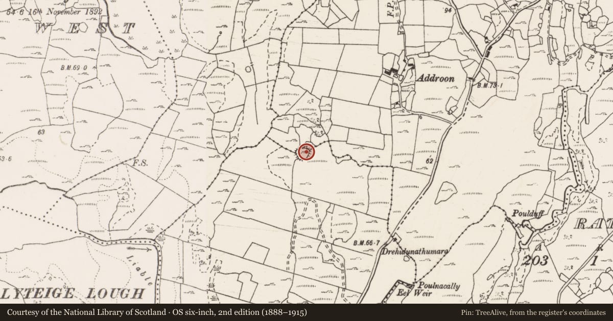 Ordnance Survey six-inch map, 2nd edition (1888–1915) covering the location of Enclosure, Addroon, Moyree Commons, County Clare, with a pin at the register's coordinates