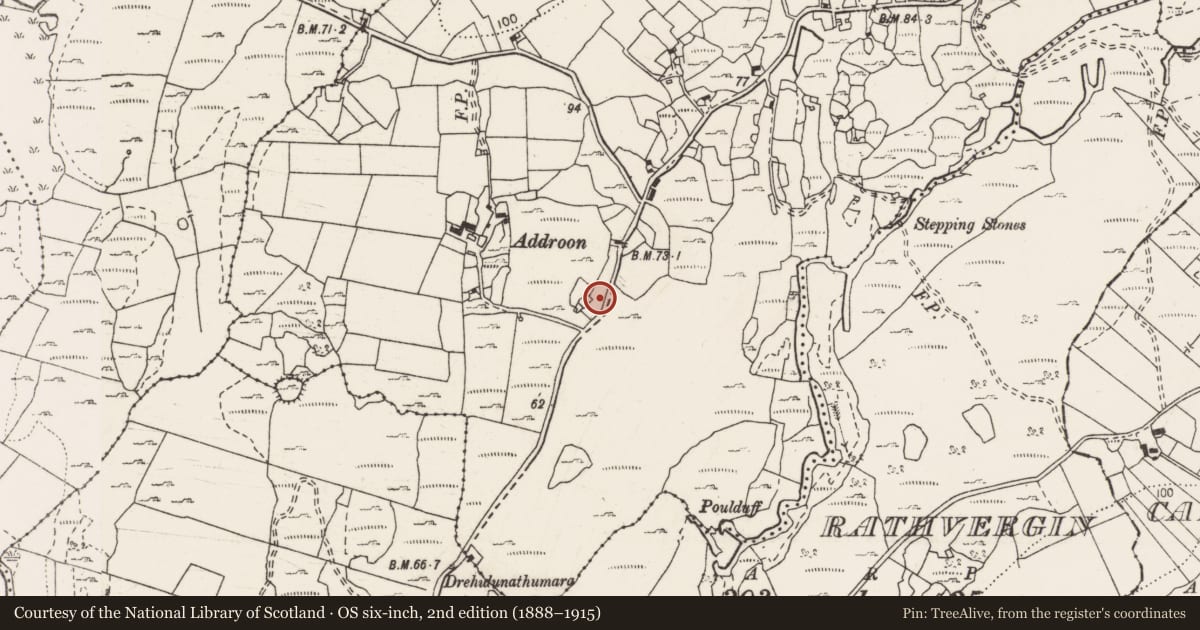 Ordnance Survey six-inch map, 2nd edition (1888–1915) covering the location of Megalithic tomb - portal tomb, Moyree Commons, County Clare, with a pin at the register's coordinates