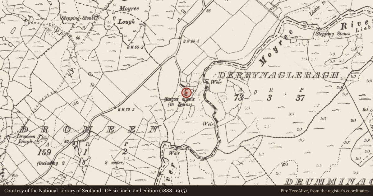 Ordnance Survey six-inch map, 2nd edition (1888–1915) covering the location of Castle - tower house, Castlequarter, County Clare, with a pin at the register's coordinates