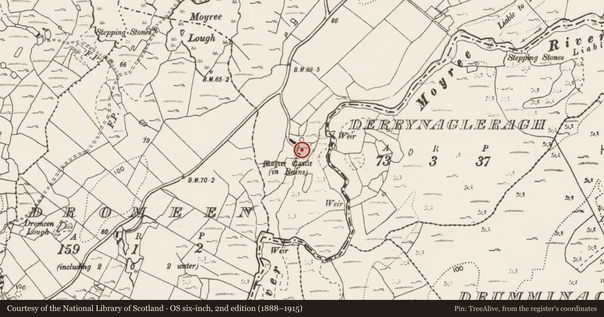 Ordnance Survey six-inch map, 2nd edition (1888–1915) covering the location of Bawn, Castlequarter, County Clare, with a pin at the register's coordinates