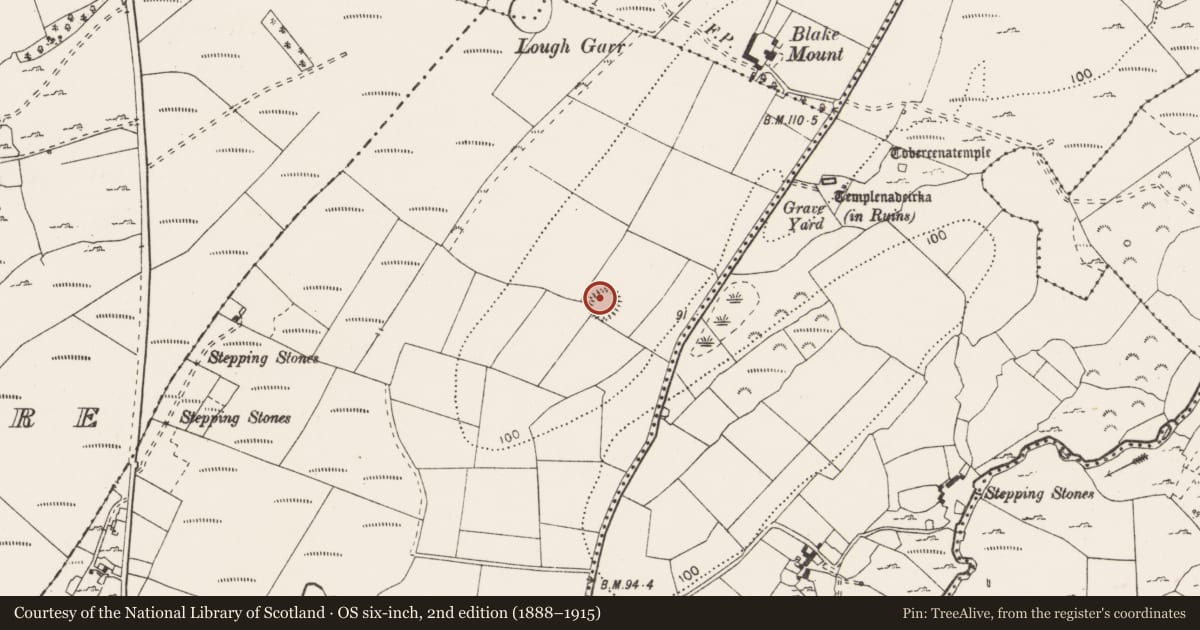 Ordnance Survey six-inch map, 2nd edition (1888–1915) covering the location of Ringfort - rath, Castlequarter, County Clare, with a pin at the register's coordinates