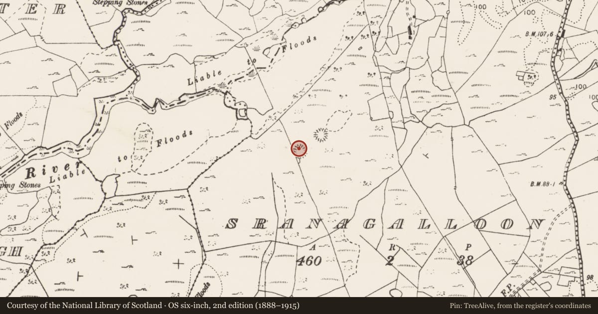 Ordnance Survey six-inch map, 2nd edition (1888–1915) covering the location of Ringfort - cashel, Sranagalloon, County Clare, with a pin at the register's coordinates