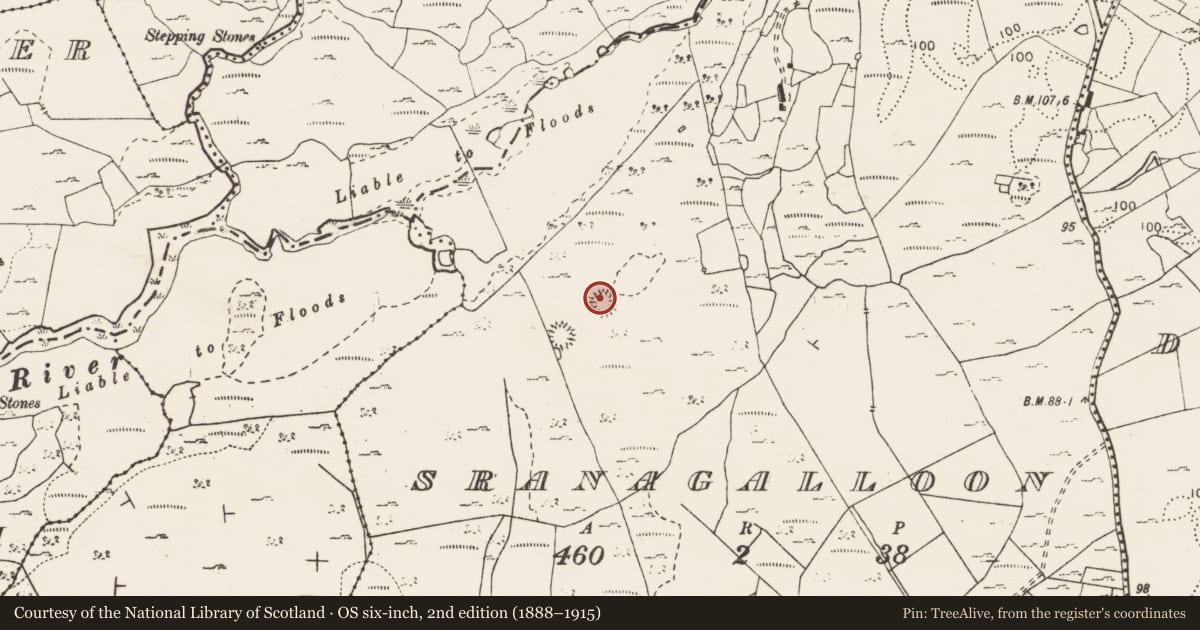 Ordnance Survey six-inch map, 2nd edition (1888–1915) covering the location of Ringfort - cashel, Sranagalloon, County Clare, with a pin at the register's coordinates