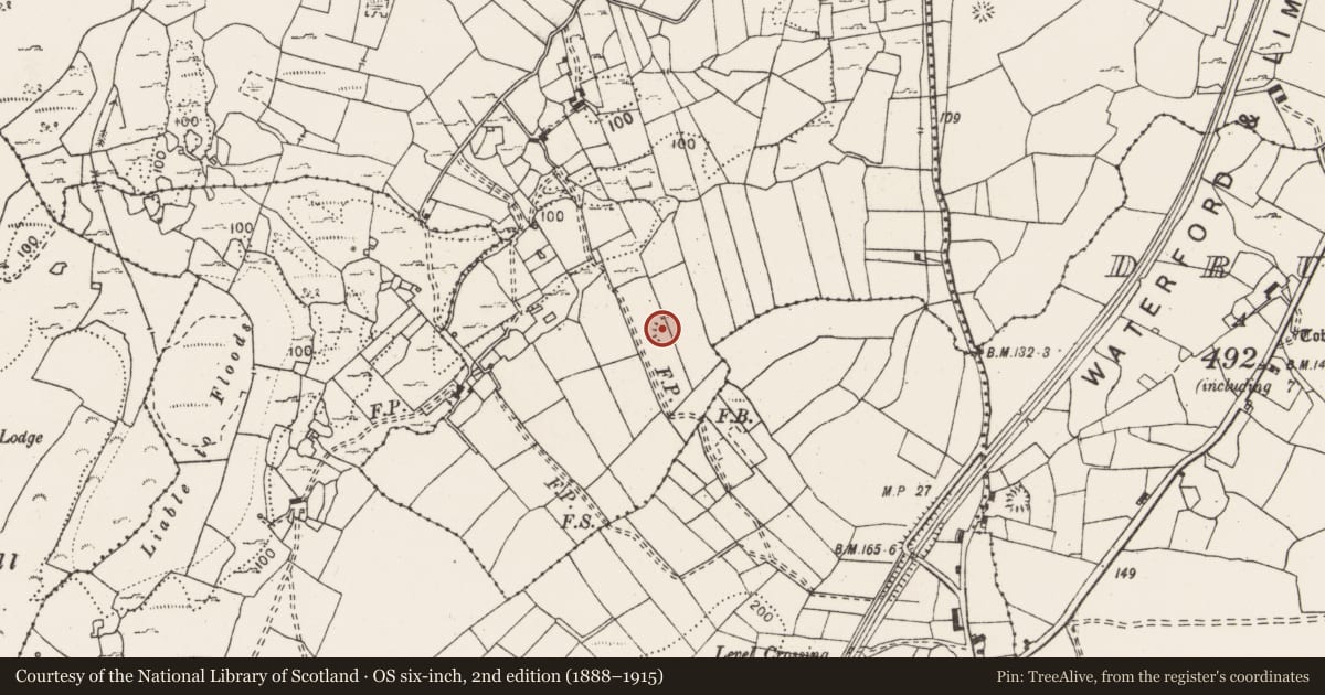 Ordnance Survey six-inch map, 2nd edition (1888–1915) covering the location of Enclosure, Sranagalloon, County Clare, with a pin at the register's coordinates