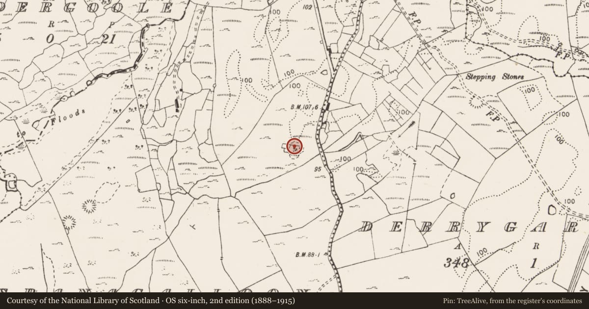 Ordnance Survey six-inch map, 2nd edition (1888–1915) covering the location of Ringfort - cashel, Sranagalloon, County Clare, with a pin at the register's coordinates