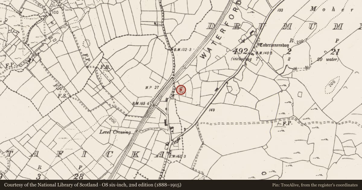 Ordnance Survey six-inch map, 2nd edition (1888–1915) covering the location of Ringfort - rath, Drumumna, County Clare, with a pin at the register's coordinates