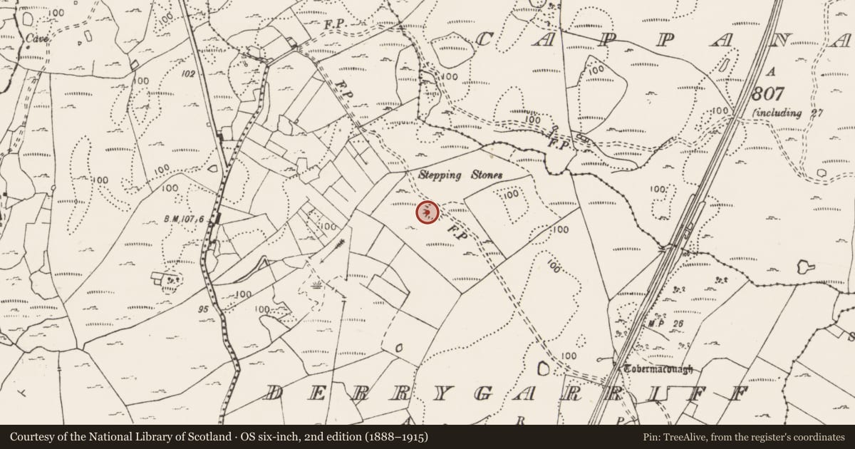 Ordnance Survey six-inch map, 2nd edition (1888–1915) covering the location of Ringfort - cashel, Derrygarriff, County Clare, with a pin at the register's coordinates