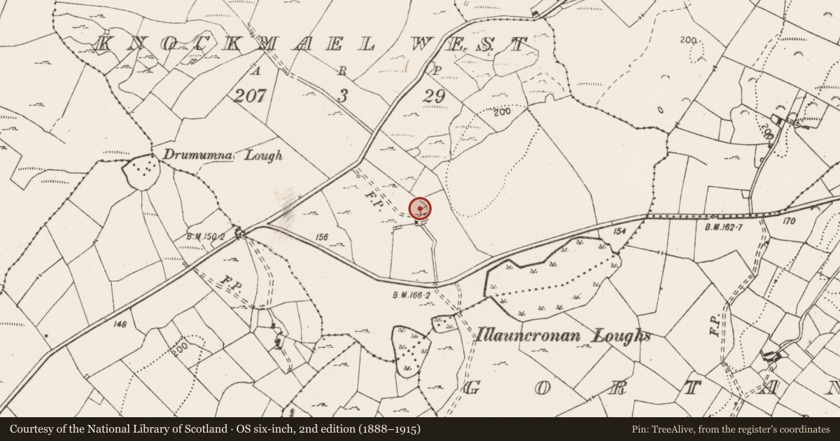 Ordnance Survey six-inch map, 2nd edition (1888–1915) covering the location of Ringfort - rath, Knockmael West, County Clare, with a pin at the register's coordinates