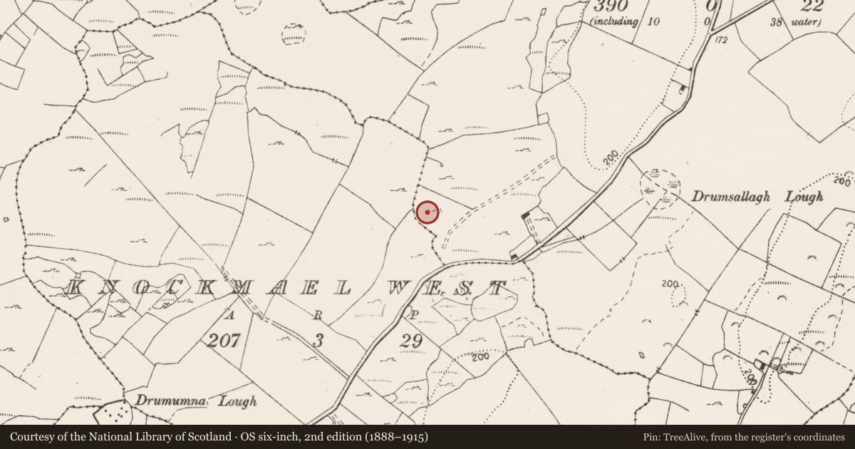 Ordnance Survey six-inch map, 2nd edition (1888–1915) covering the location of Megalithic tomb - wedge tomb, Knockmael East, County Clare, with a pin at the register's coordinates