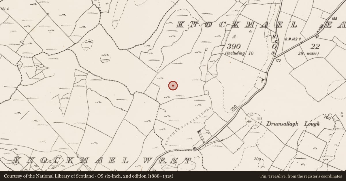 Ordnance Survey six-inch map, 2nd edition (1888–1915) covering the location of Megalithic tomb - unclassified, Knockmael East, County Clare, with a pin at the register's coordinates