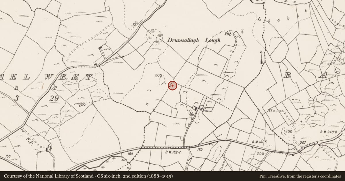 Ordnance Survey six-inch map, 2nd edition (1888–1915) covering the location of Ringfort - rath, Knockmael East, County Clare, with a pin at the register's coordinates