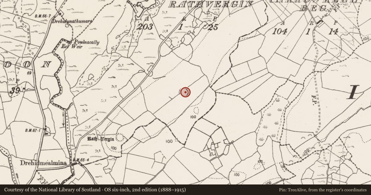 Ordnance Survey six-inch map, 2nd edition (1888–1915) covering the location of Ringfort - rath, Rathvergin, County Clare, with a pin at the register's coordinates