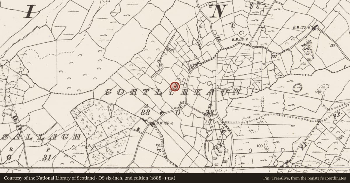 Ordnance Survey six-inch map, 2nd edition (1888–1915) covering the location of Ringfort - rath, Gortlurkaun, County Clare, with a pin at the register's coordinates