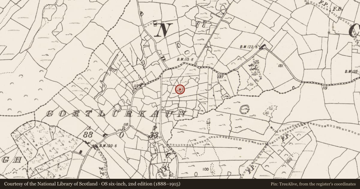 Ordnance Survey six-inch map, 2nd edition (1888–1915) covering the location of Ringfort - cashel, Gortlurkaun, County Clare, with a pin at the register's coordinates