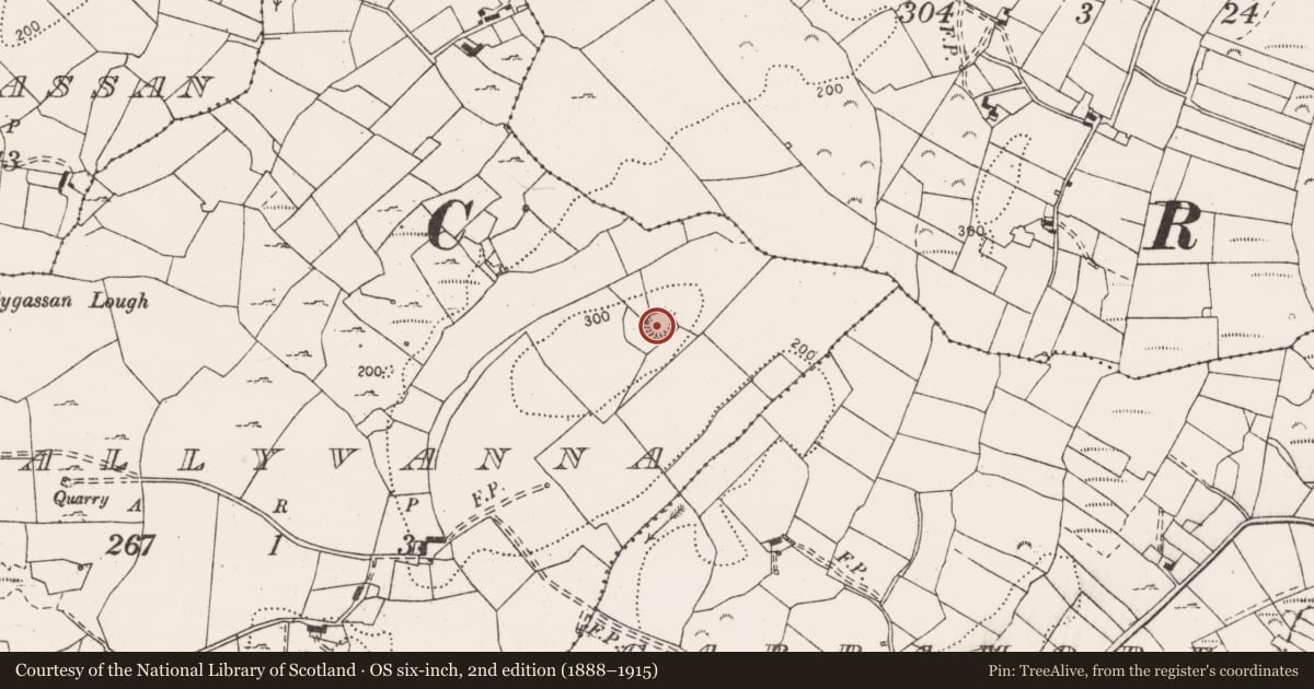 Ordnance Survey six-inch map, 2nd edition (1888–1915) covering the location of Ringfort - rath, Ballyvanna, County Clare, with a pin at the register's coordinates