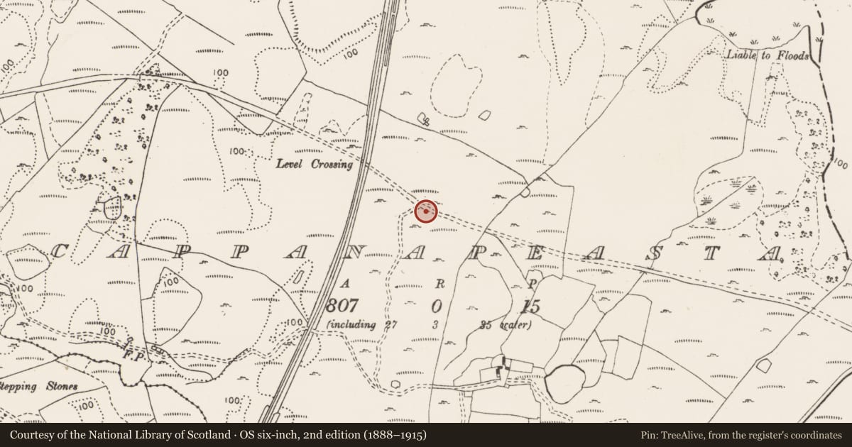 Ordnance Survey six-inch map, 2nd edition (1888–1915) covering the location of Quarry, Cappanapeasta, County Clare, with a pin at the register's coordinates