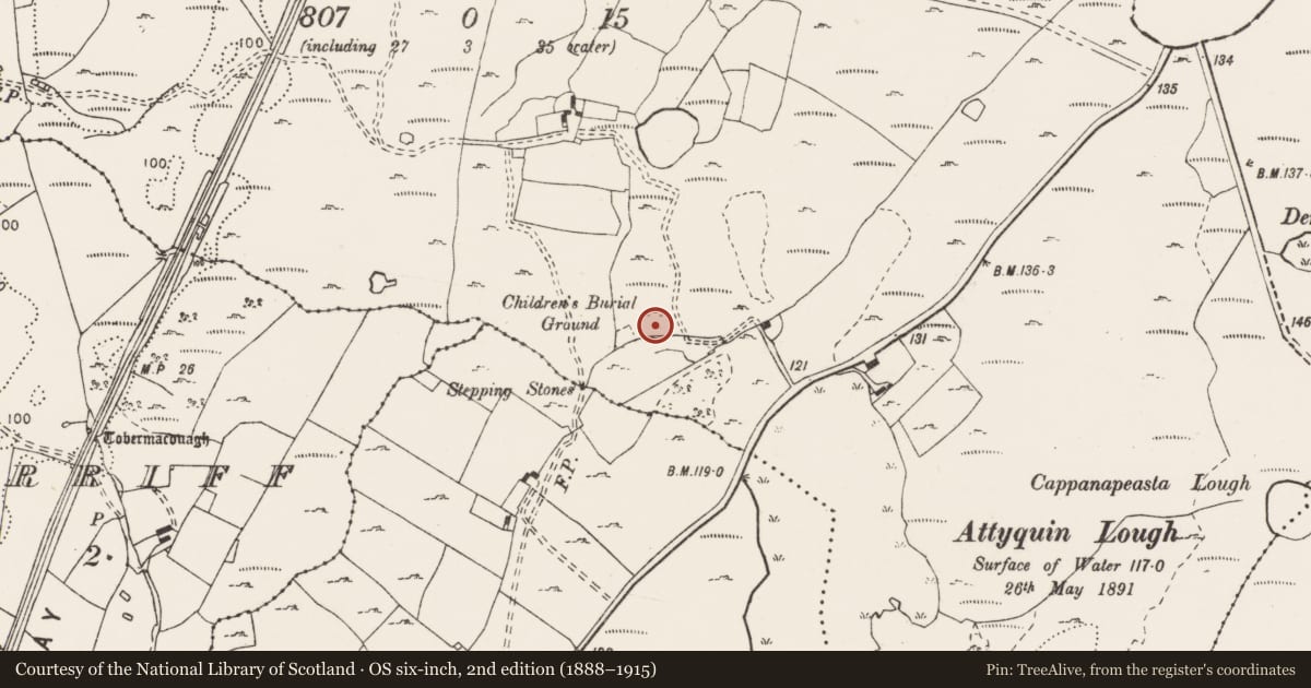 Ordnance Survey six-inch map, 2nd edition (1888–1915) covering the location of Enclosure, Cappanapeasta, County Clare, with a pin at the register's coordinates