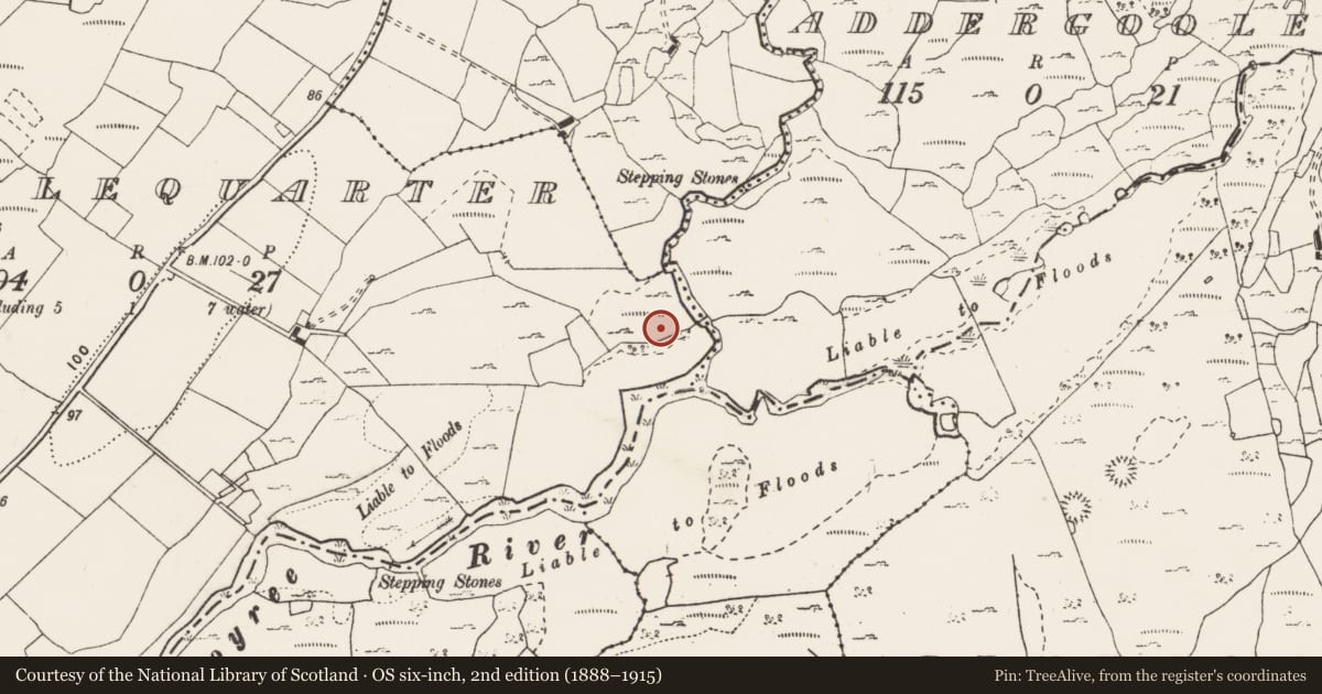Ordnance Survey six-inch map, 2nd edition (1888–1915) covering the location of Structure, Castlequarter, County Clare, with a pin at the register's coordinates
