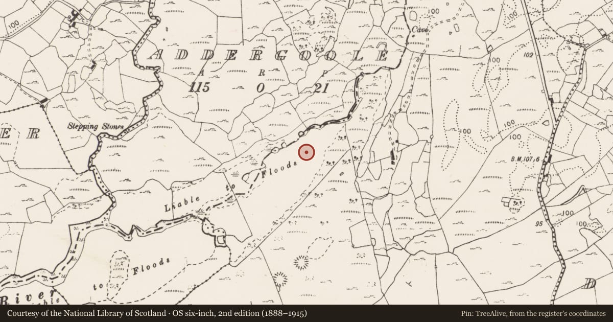 Ordnance Survey six-inch map, 2nd edition (1888–1915) covering the location of Fulacht fia, Sranagalloon, County Clare, with a pin at the register's coordinates