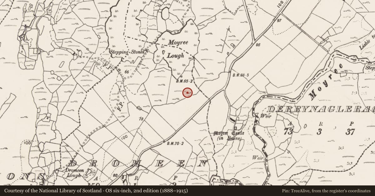 Ordnance Survey six-inch map, 2nd edition (1888–1915) covering the location of Fulacht fia, Dromeen, County Clare, with a pin at the register's coordinates