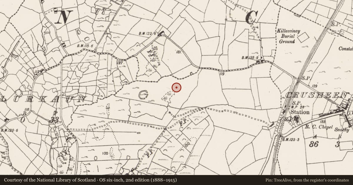 Ordnance Survey six-inch map, 2nd edition (1888–1915) covering the location of Fulacht fia, Caheraphuca, County Clare, with a pin at the register's coordinates