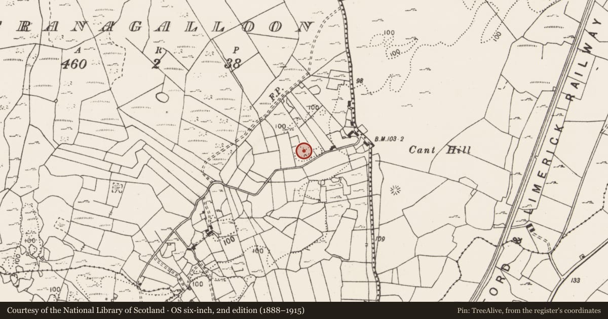 Ordnance Survey six-inch map, 2nd edition (1888–1915) covering the location of Ringfort - rath, Sranagalloon, County Clare, with a pin at the register's coordinates