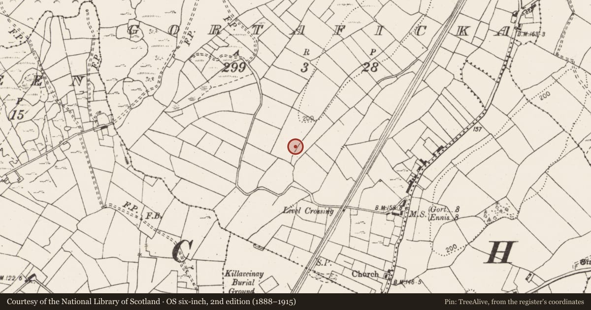 Ordnance Survey six-inch map, 2nd edition (1888–1915) covering the location of Pit-burial, Gortaficka, County Clare, with a pin at the register's coordinates