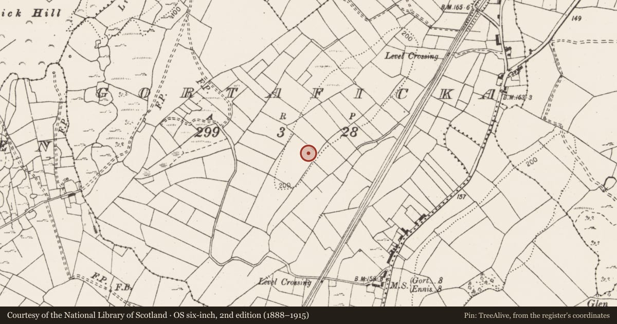 Ordnance Survey six-inch map, 2nd edition (1888–1915) covering the location of Excavation - miscellaneous, Gortaficka, County Clare, with a pin at the register's coordinates