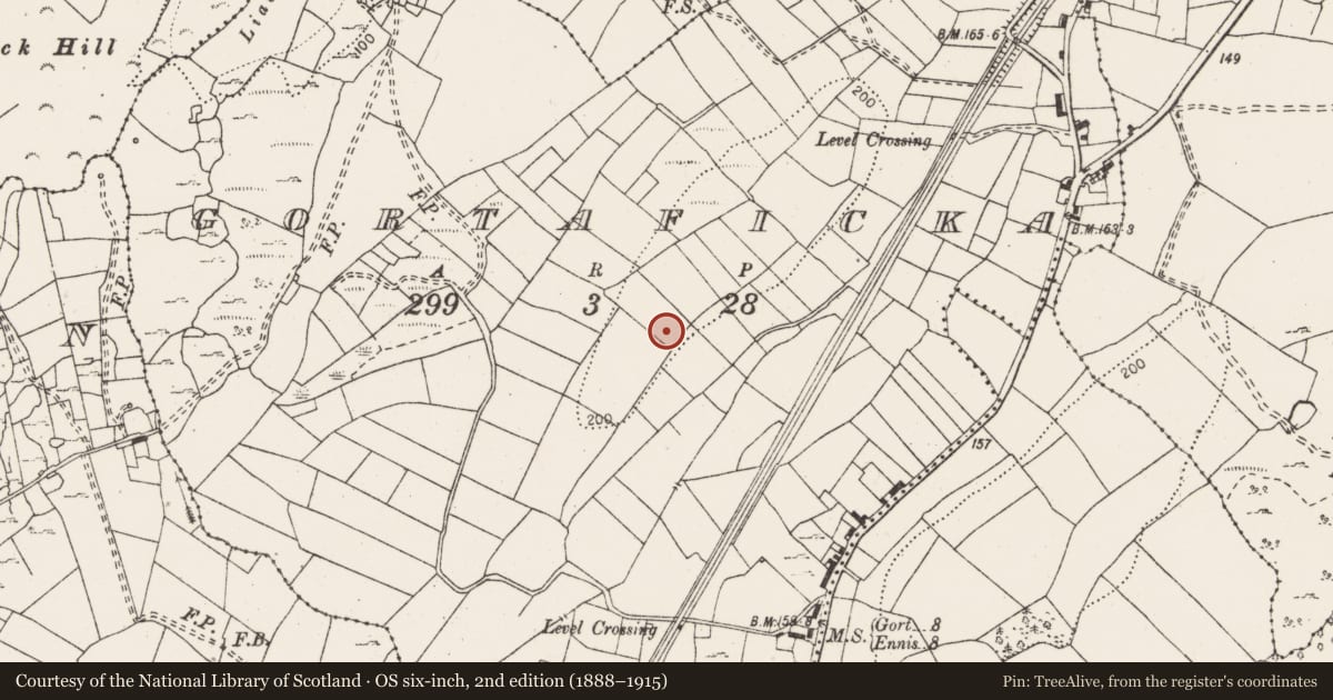 Ordnance Survey six-inch map, 2nd edition (1888–1915) covering the location of Excavation - miscellaneous, Gortaficka, County Clare, with a pin at the register's coordinates