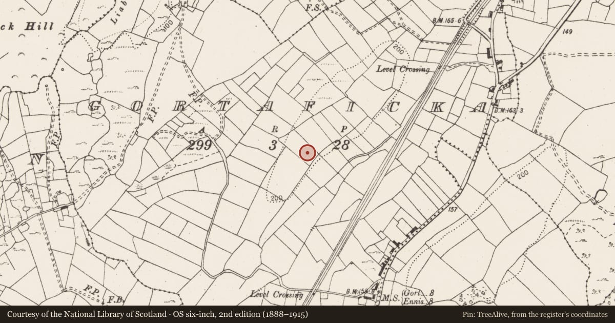 Ordnance Survey six-inch map, 2nd edition (1888–1915) covering the location of Excavation - miscellaneous, Gortaficka, County Clare, with a pin at the register's coordinates