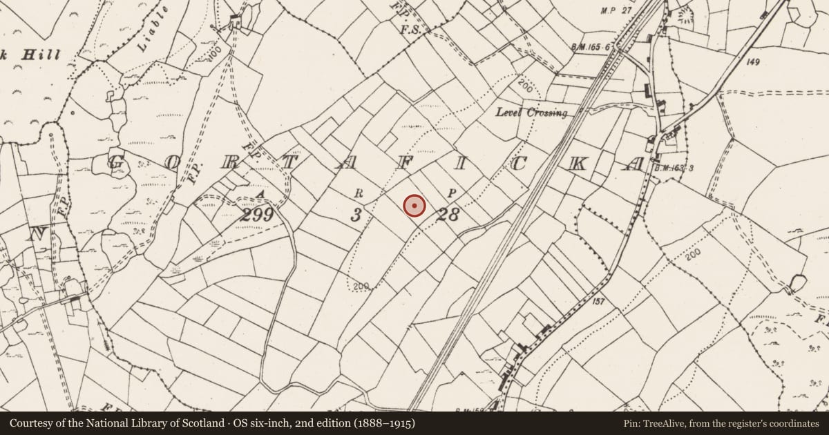 Ordnance Survey six-inch map, 2nd edition (1888–1915) covering the location of Excavation - miscellaneous, Gortaficka, County Clare, with a pin at the register's coordinates