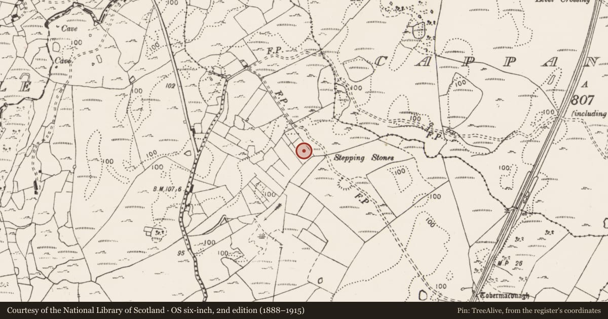 Ordnance Survey six-inch map, 2nd edition (1888–1915) covering the location of Burnt mound, Derrygarriff, County Clare, with a pin at the register's coordinates