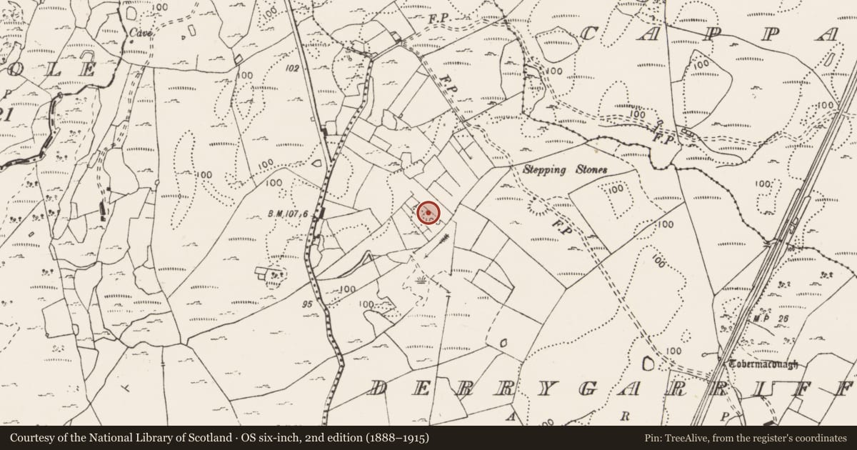Ordnance Survey six-inch map, 2nd edition (1888–1915) covering the location of Metalworking site, Derrygarriff, County Clare, with a pin at the register's coordinates