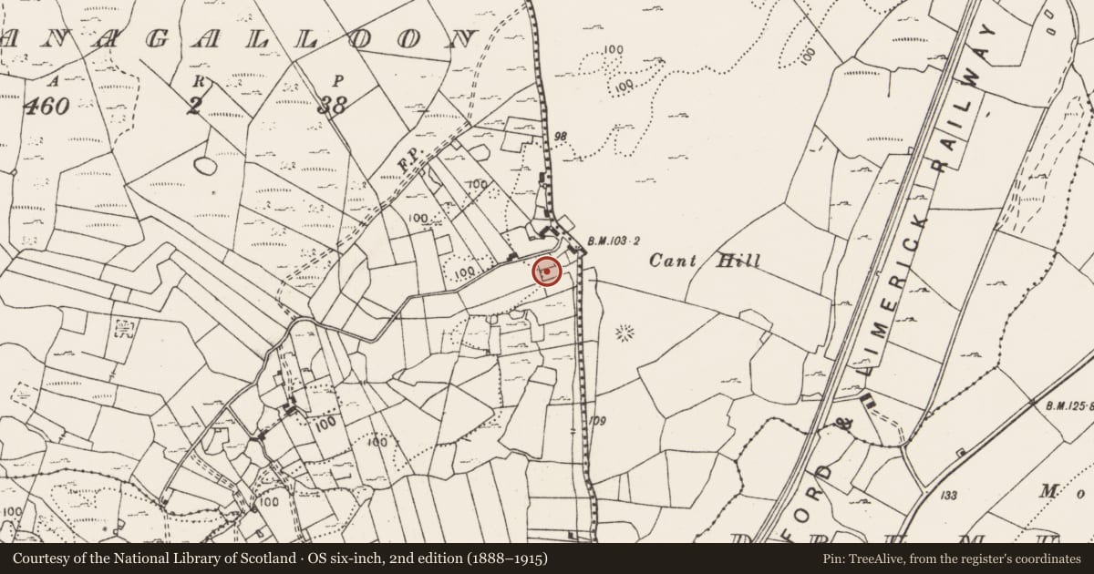 Ordnance Survey six-inch map, 2nd edition (1888–1915) covering the location of Fulacht fia, Sranagalloon, County Clare, with a pin at the register's coordinates