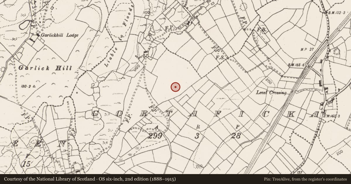 Ordnance Survey six-inch map, 2nd edition (1888–1915) covering the location of Fulacht fia, Gortaficka, County Clare, with a pin at the register's coordinates