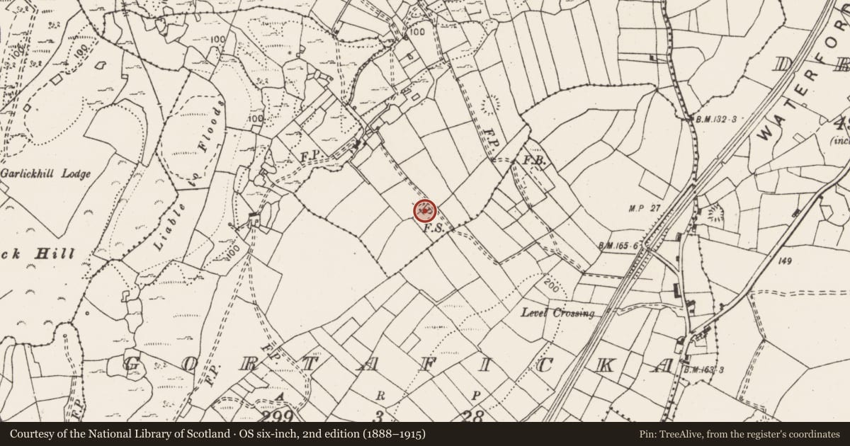 Ordnance Survey six-inch map, 2nd edition (1888–1915) covering the location of Burnt mound, Sranagalloon, County Clare, with a pin at the register's coordinates