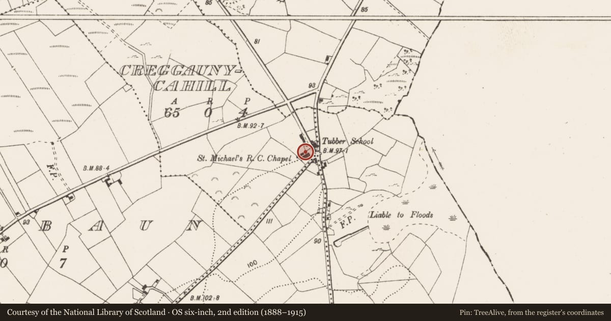 Ordnance Survey six-inch map, 2nd edition (1888–1915) covering the location of Cross (present location), Creggaunycahill, County Clare, with a pin at the register's coordinates