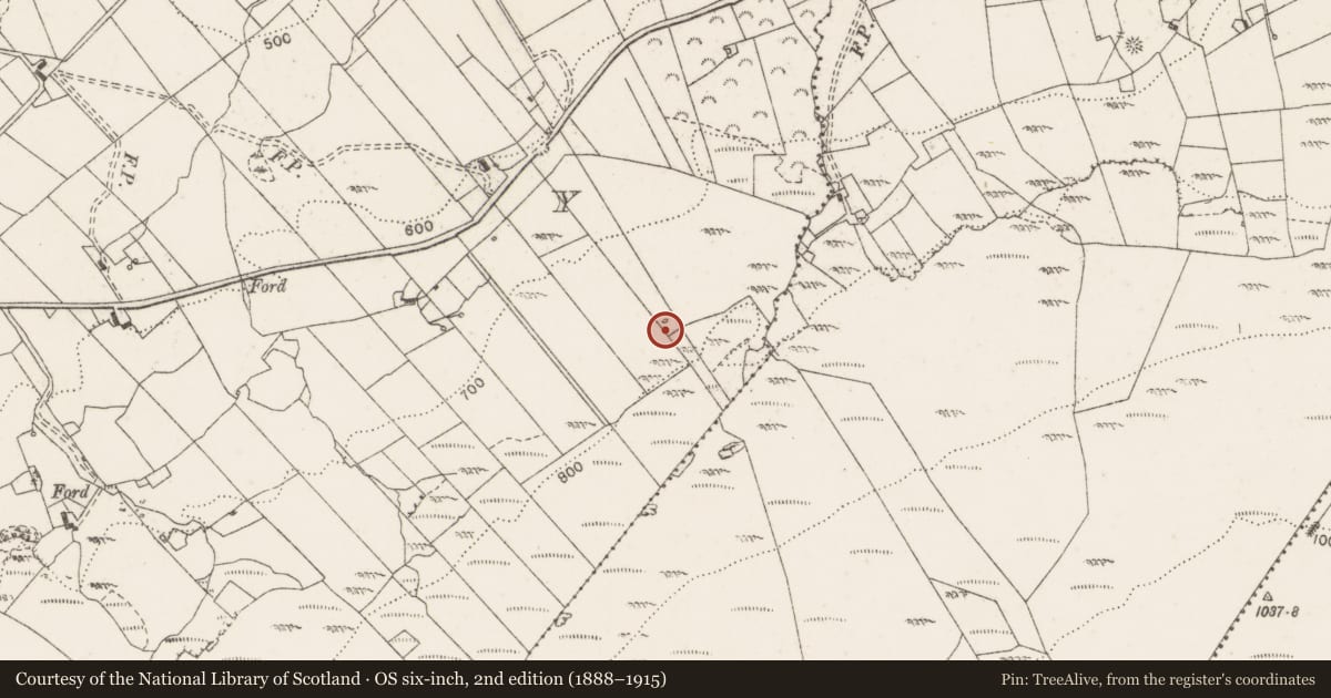 Ordnance Survey six-inch map, 2nd edition (1888–1915) covering the location of Megalithic tomb - wedge tomb, Fahy, County Clare, with a pin at the register's coordinates