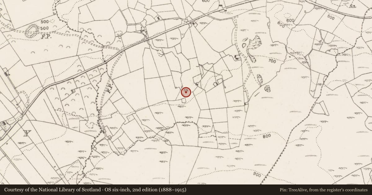 Ordnance Survey six-inch map, 2nd edition (1888–1915) covering the location of Enclosure, Corbehagh, County Clare, with a pin at the register's coordinates
