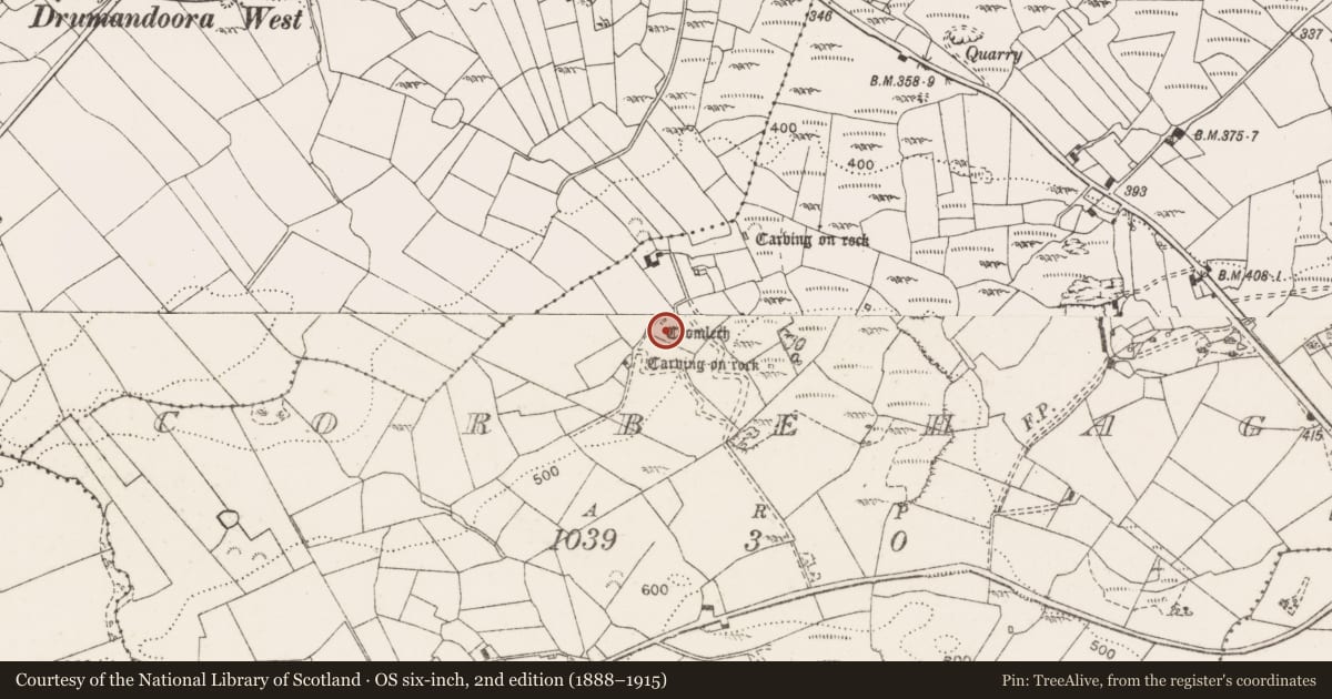 Ordnance Survey six-inch map, 2nd edition (1888–1915) covering the location of Megalithic tomb - wedge tomb, Corbehagh, County Clare, with a pin at the register's coordinates