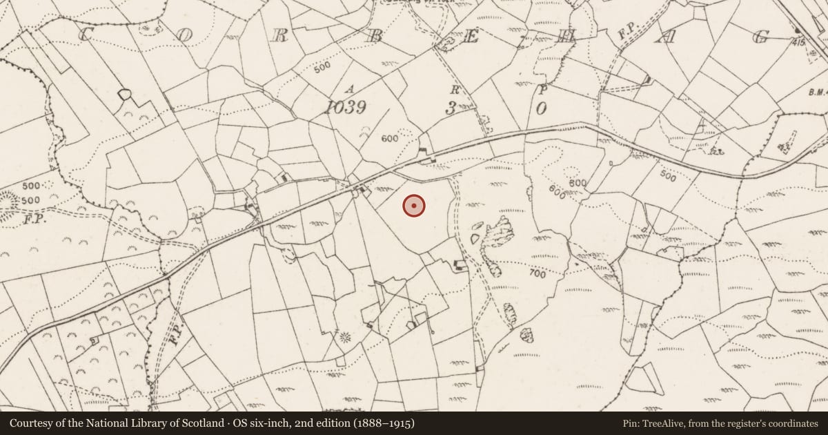 Ordnance Survey six-inch map, 2nd edition (1888–1915) covering the location of Megalithic tomb - wedge tomb, Corbehagh, County Clare, with a pin at the register's coordinates