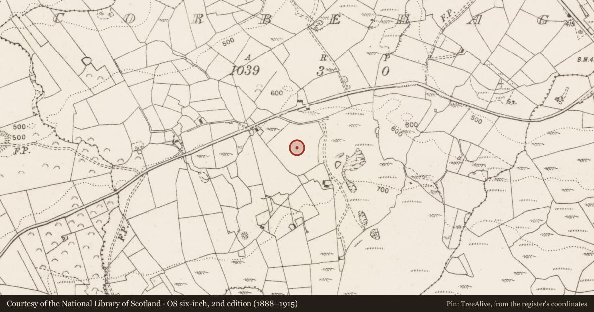 Ordnance Survey six-inch map, 2nd edition (1888–1915) covering the location of Standing stone, Corbehagh, County Clare, with a pin at the register's coordinates