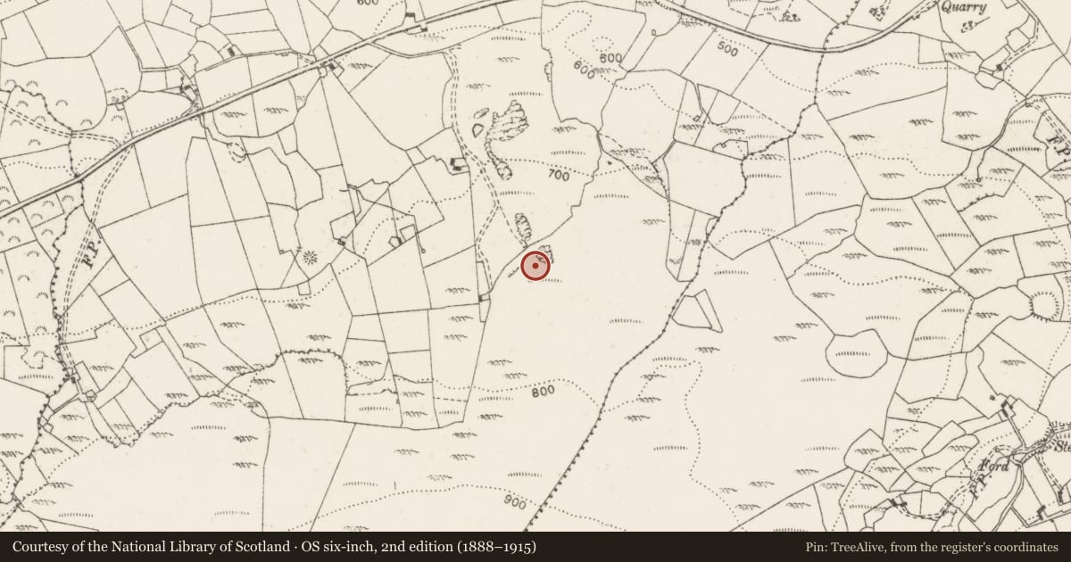 Ordnance Survey six-inch map, 2nd edition (1888–1915) covering the location of Standing stone, Corbehagh, County Clare, with a pin at the register's coordinates