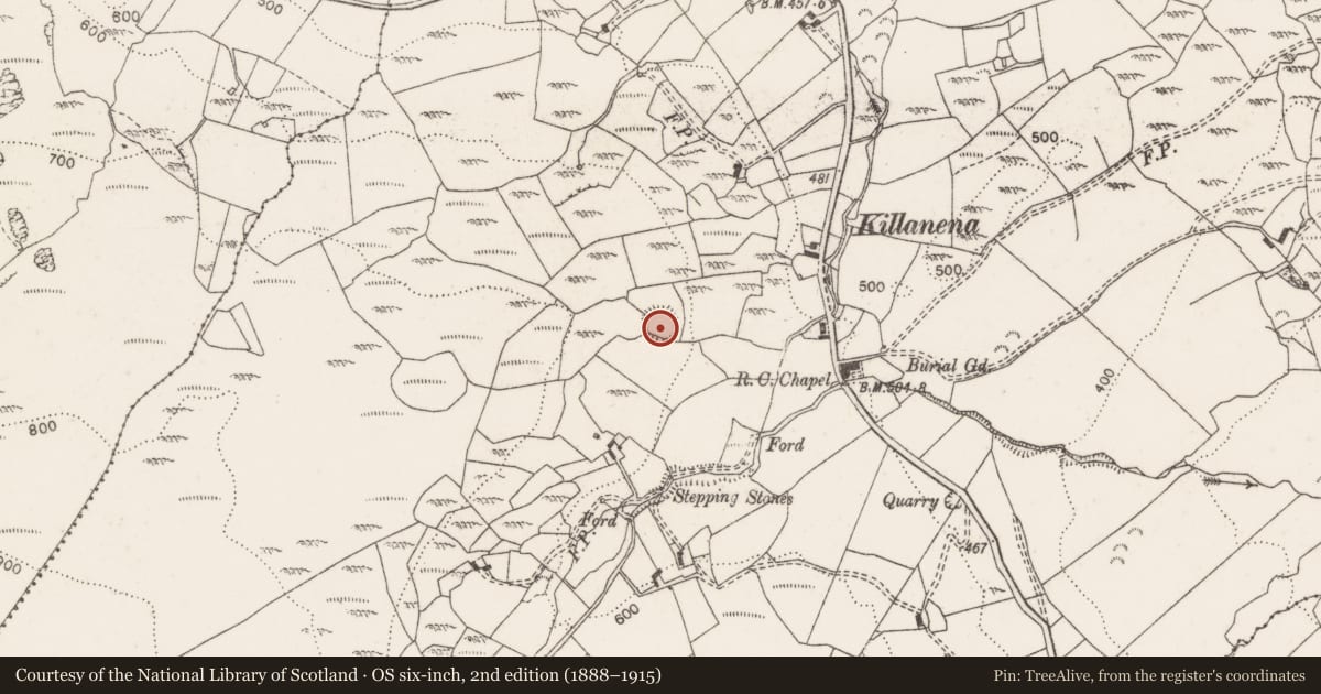 Ordnance Survey six-inch map, 2nd edition (1888–1915) covering the location of Ringfort - cashel, Killanena, County Clare, with a pin at the register's coordinates