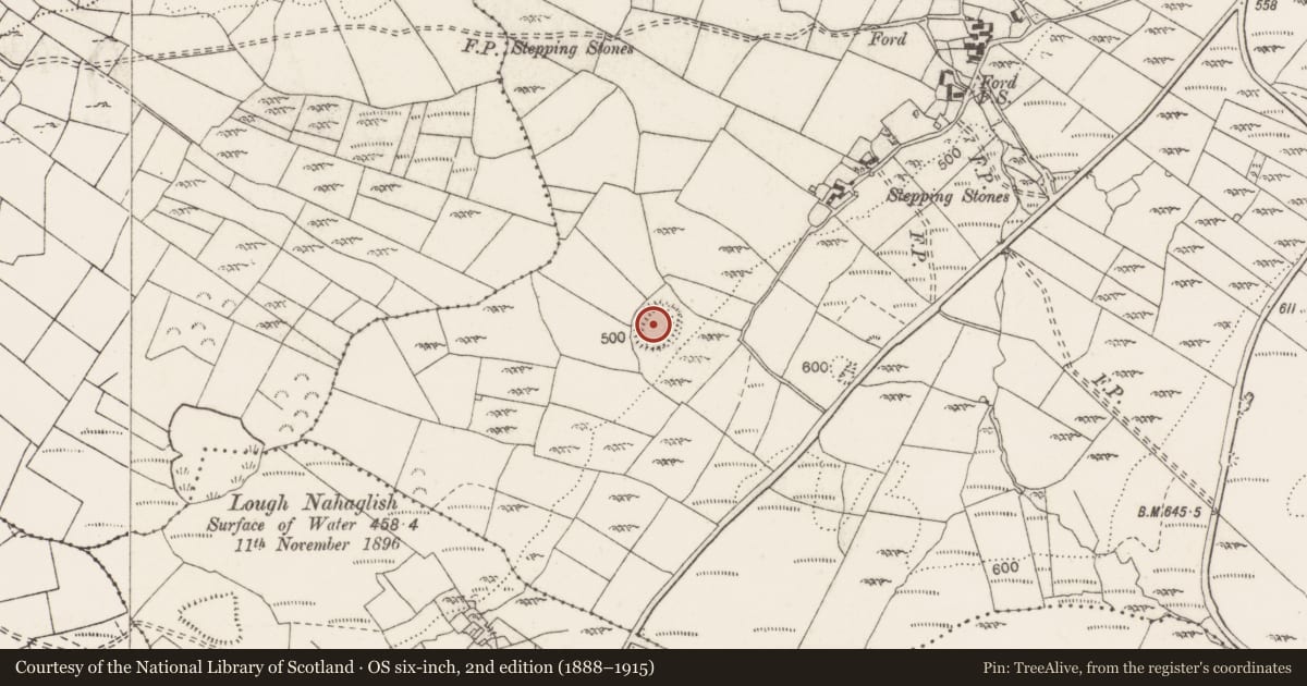 Ordnance Survey six-inch map, 2nd edition (1888–1915) covering the location of Ringfort - rath, Scalpnagown, County Clare, with a pin at the register's coordinates