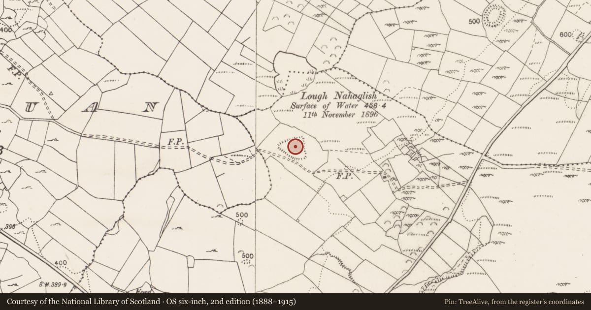 Ordnance Survey six-inch map, 2nd edition (1888–1915) covering the location of Enclosure, Gortnamearacaun, County Clare, with a pin at the register's coordinates