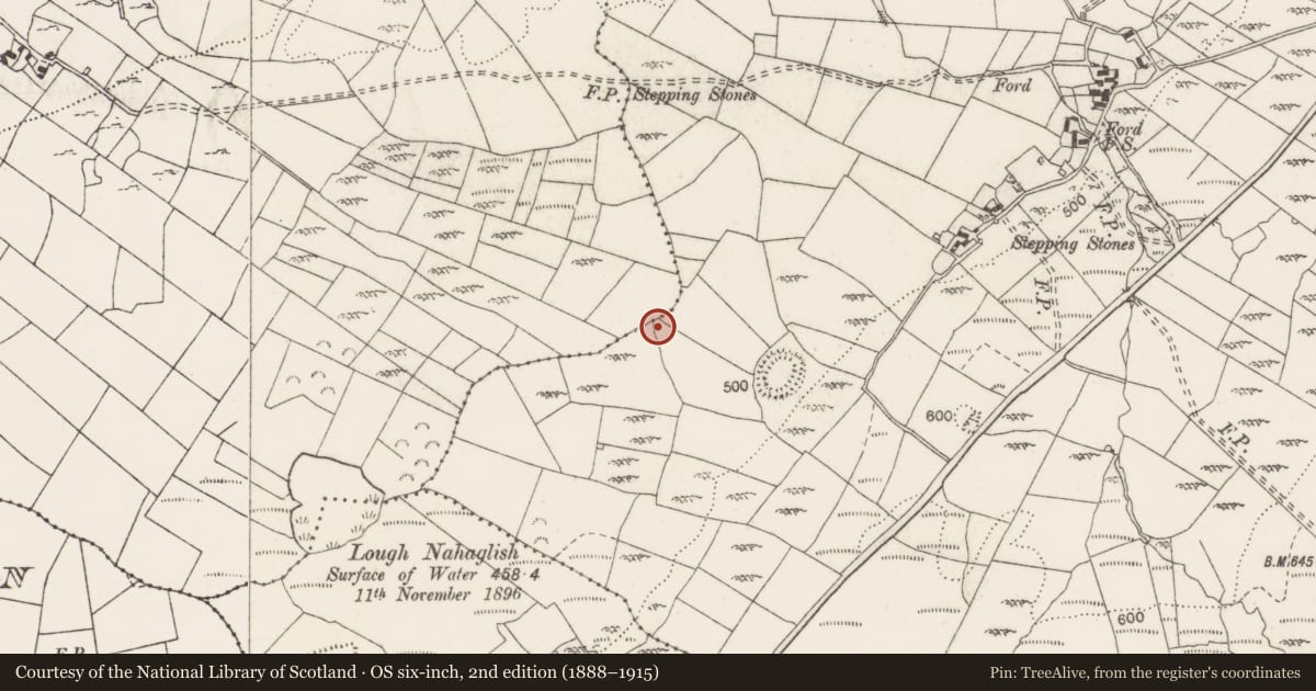 Ordnance Survey six-inch map, 2nd edition (1888–1915) covering the location of Fulacht fia, Scalpnagown, County Clare, with a pin at the register's coordinates